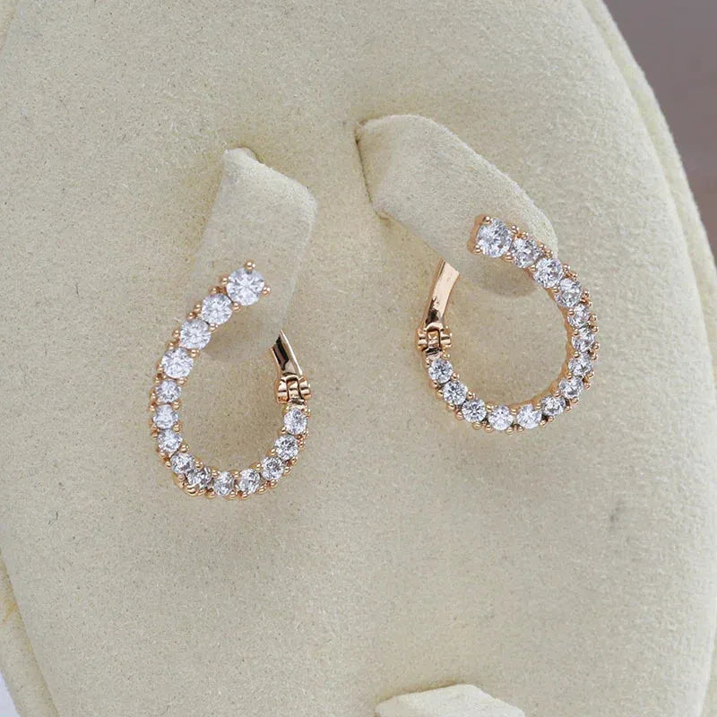 Earrings Brilliant Circle