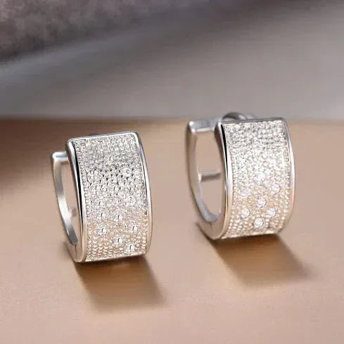 Elegant, shiny silver earrings